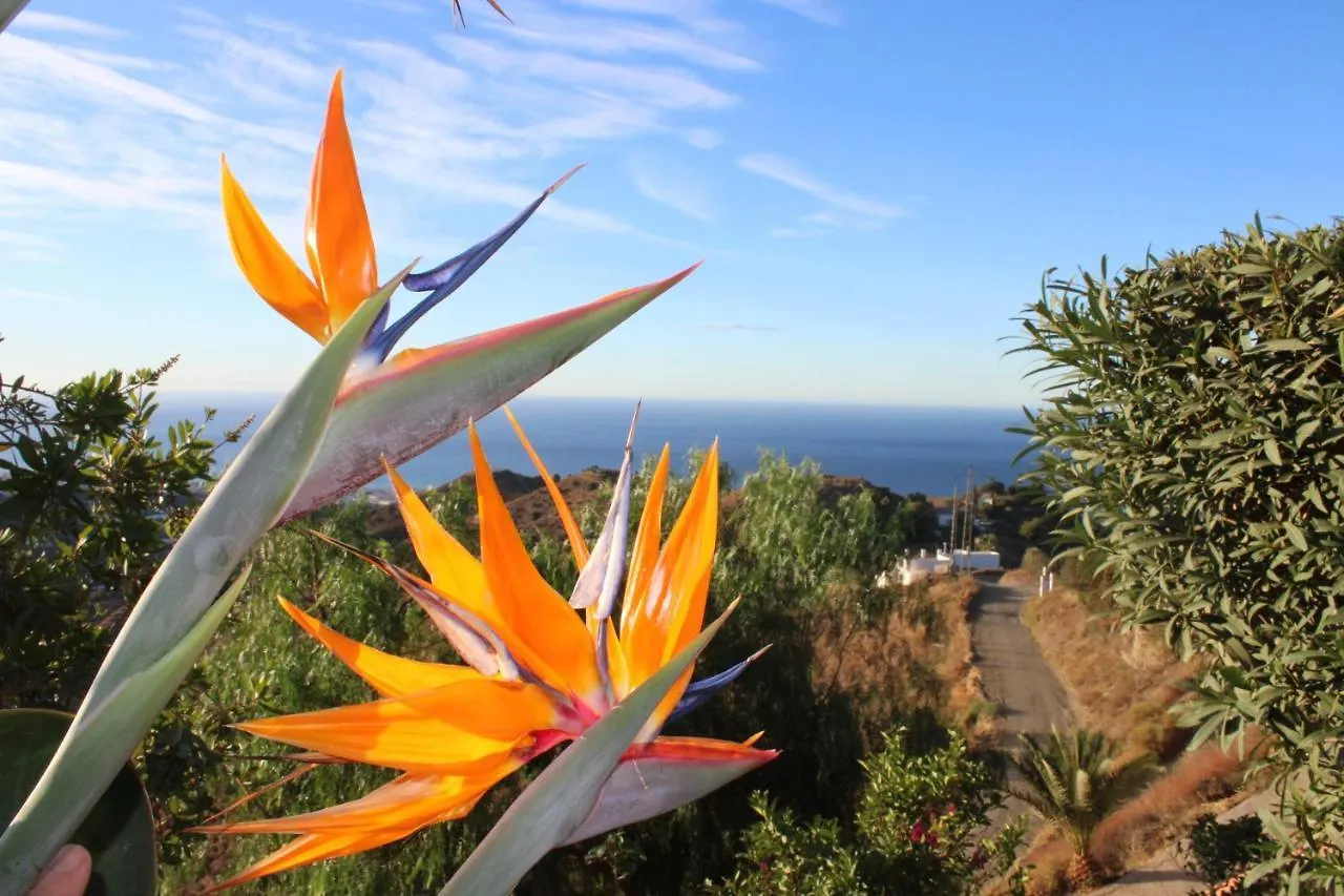 Villa Tranquila - Costa Del Sol - Great Seaview - Priv Pool - 3 Bed 托罗克斯科斯塔